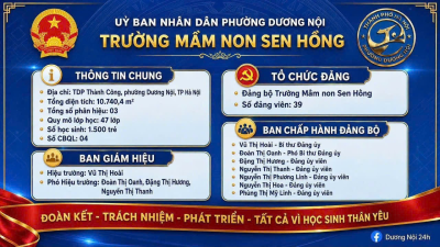 THÔNG TIN BỘ MÁY LÃNH ĐẠO, TỔ CHỨC ĐẢNG 8 TRƯỜNG HỌC CÔNG LẬP TRÊN ĐỊA BÀN PHƯỜNG DƯƠNG NỘI